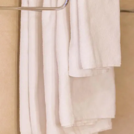 Scott's Hotel 4*